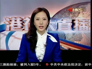 张仁良:削减自由行将影响经济