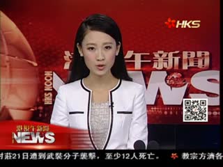 普京支持乌克兰停火计划