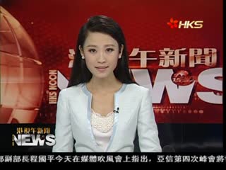 越南反华示威持续拘七百人台商撤离