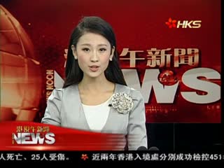 埃及新宪法公投逾九成支持 反对派再起冲突