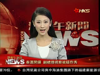 春运开锣 副总理视察被疑作秀